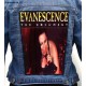 EVANESCENCE Backpatch Giant Back Patch Rückenaufnäher Aufnäher 