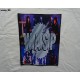 W.A.S.P.  WASP  Backpatch Giant Back Patch Rückenaufnäher Aufnäher